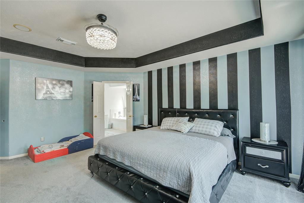2916 Eagle Lake Drive, Pearland, Texas image 21