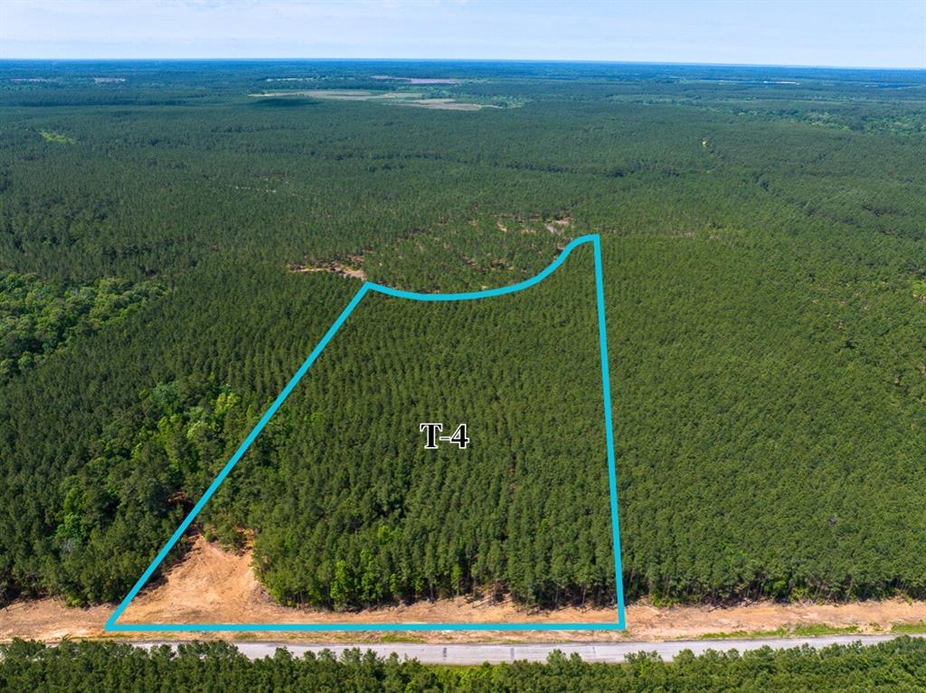 4 Camp Ruby Road, Livingston, Texas image 1