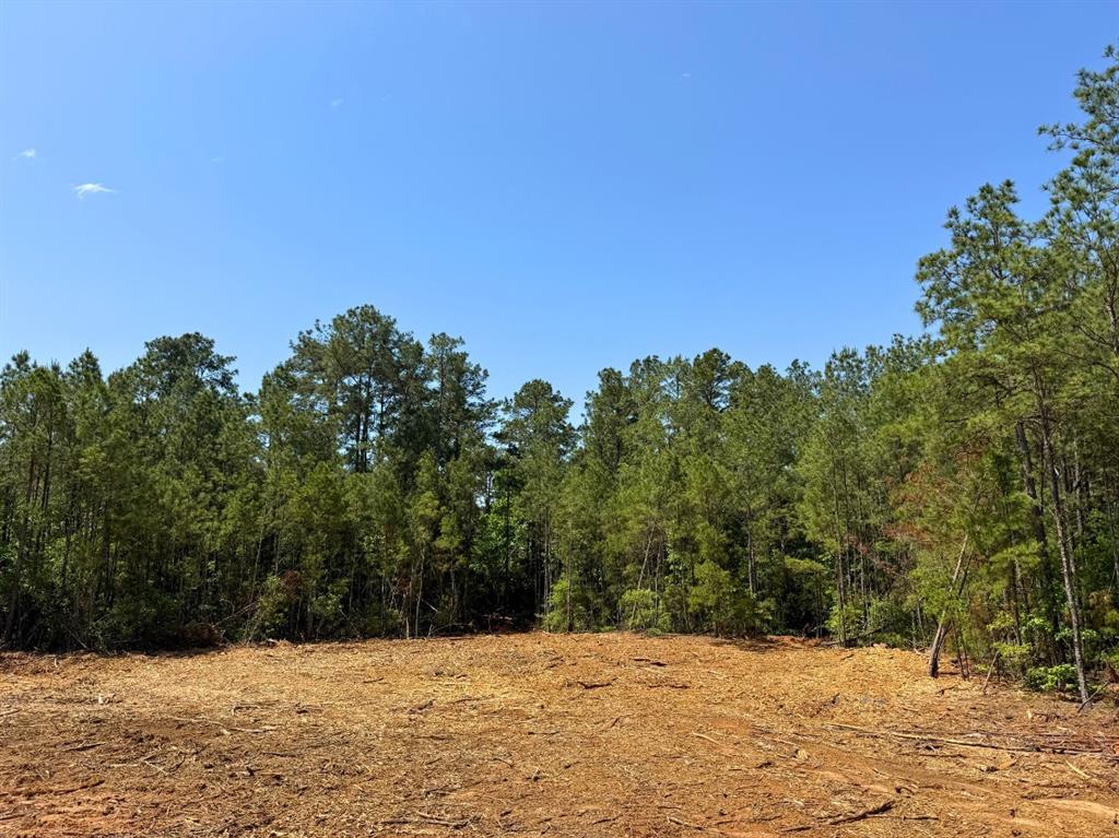 4 Camp Ruby Road, Livingston, Texas image 5