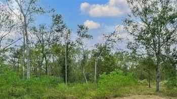 20687 Live Oak Drive, Damon, Texas image 1