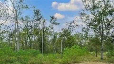 20687 Live Oak Drive Damon TX 77430
