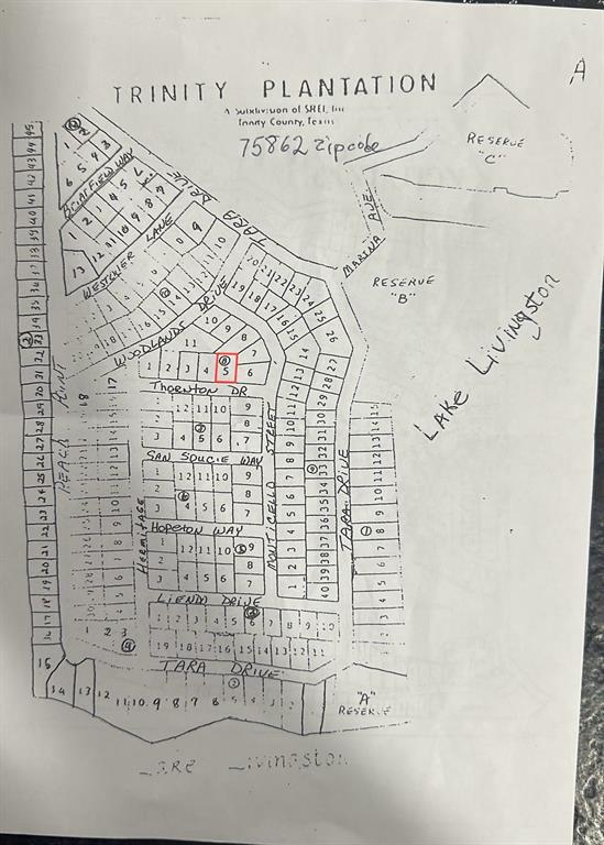 Lot 5 Thornton Street, Trinity, Texas image 1