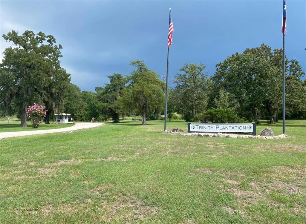 Lot 5 Thornton Street, Trinity, Texas image 4