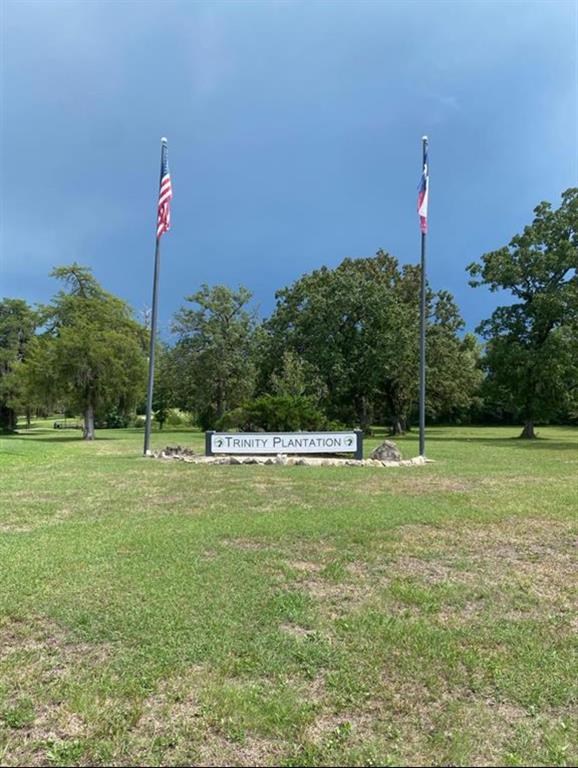 Lot 5 Thornton Street, Trinity, Texas image 3