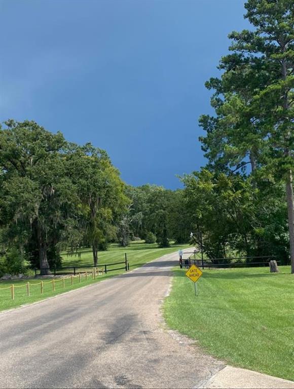 Lot 5 Thornton Street, Trinity, Texas image 5