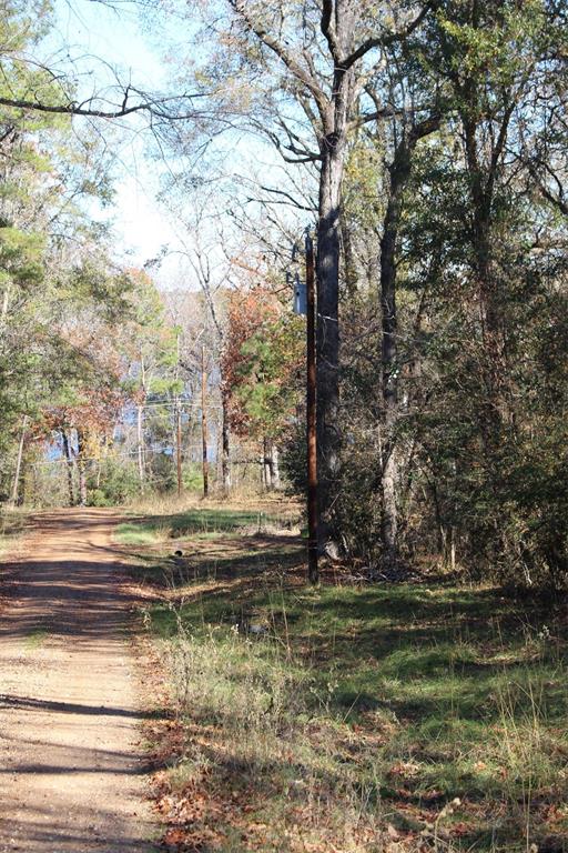 00 Forest Road, Crockett, Texas image 18