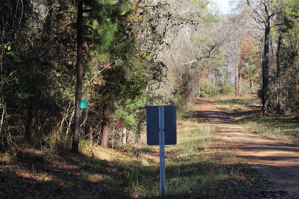 00 Forest Road, Crockett, Texas image 4