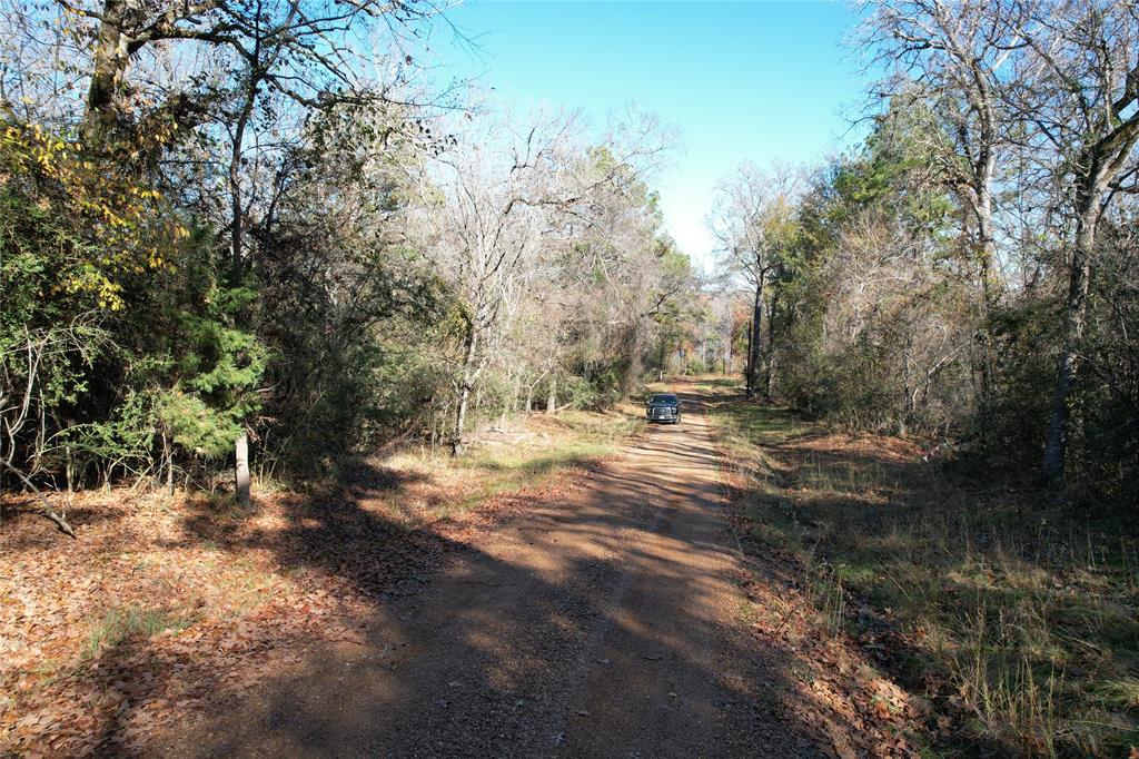 00 Forest Road, Crockett, Texas image 9