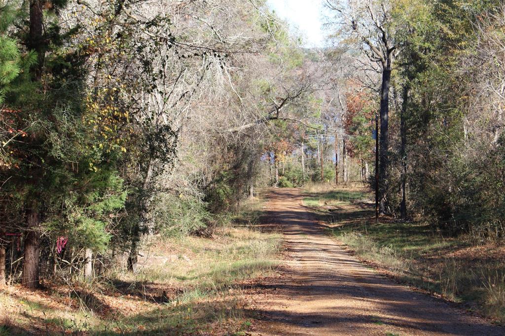 00 Forest Road, Crockett, Texas image 6