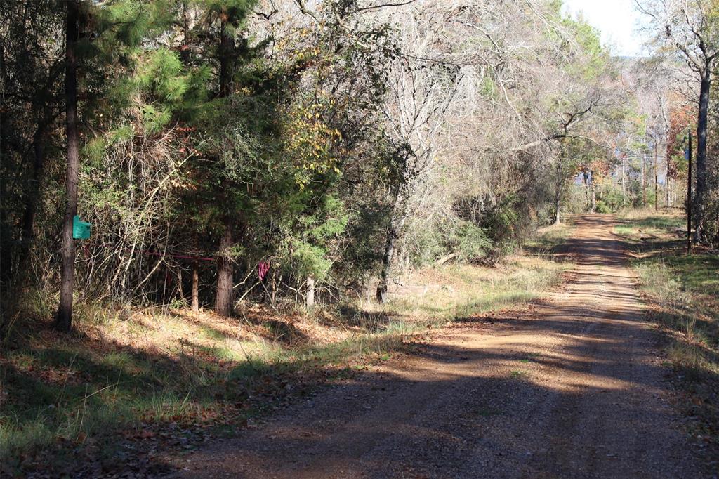 00 Forest Road, Crockett, Texas image 19