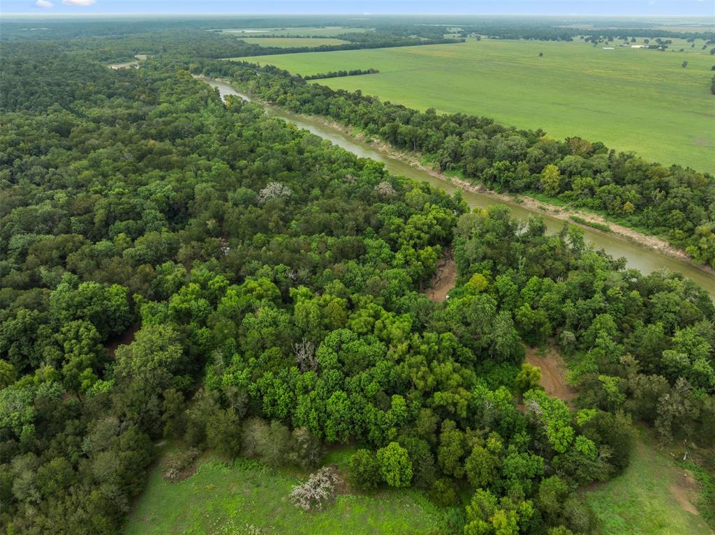 TBD Private Road 1195, Centerville, Texas image 14