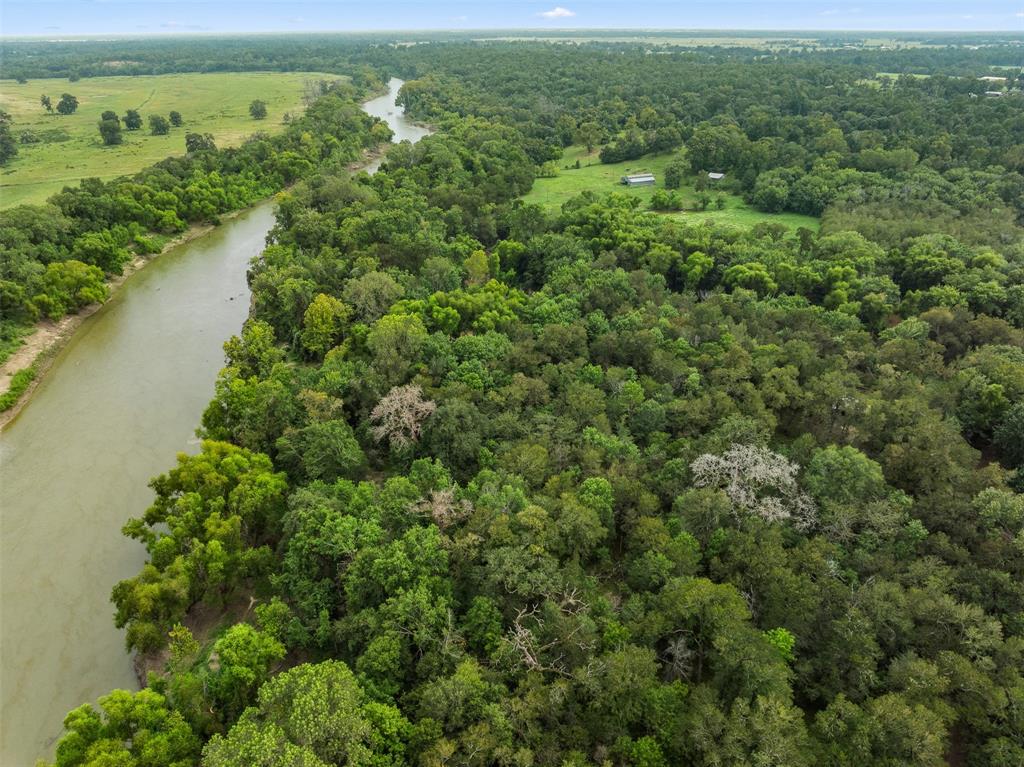 TBD Private Road 1195, Centerville, Texas image 6