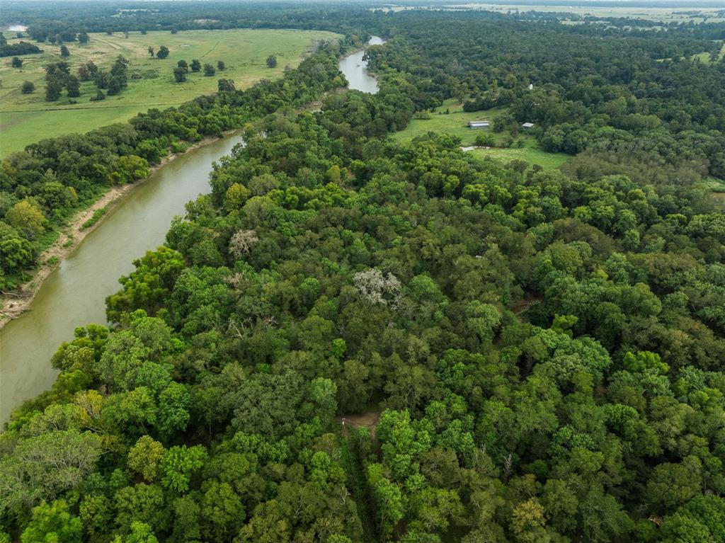 TBD Private Road 1195, Centerville, Texas image 17