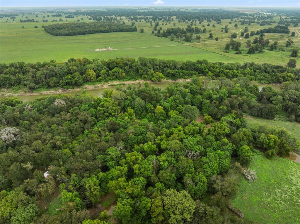 TBD Private Road 1195, Centerville, Texas image 5