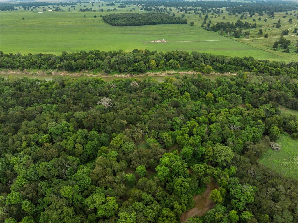 TBD Private Road 1195, Centerville, Texas image 15