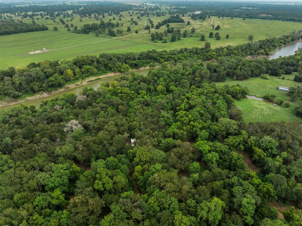 TBD Private Road 1195, Centerville, Texas image 16