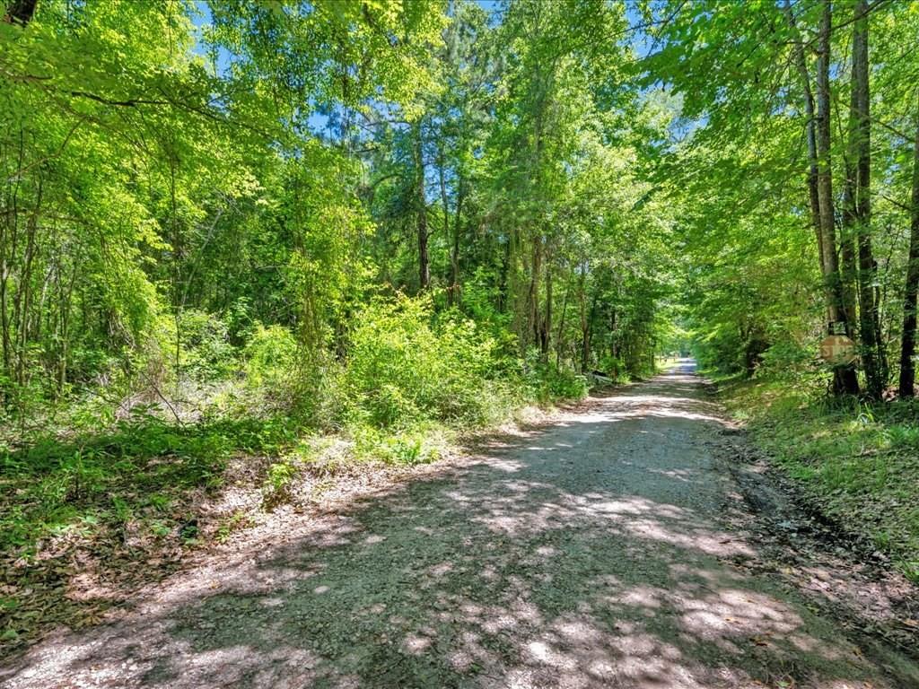 L16700 Bill Jones Road, Lufkin, Texas image 5