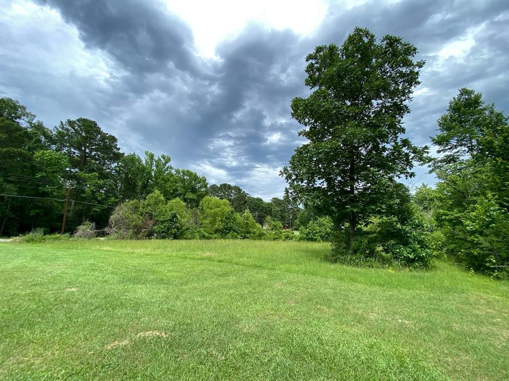 793 Big Hawg Drive, Trinity, Texas image 6