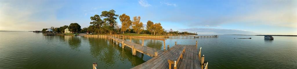 793 Big Hawg Drive, Trinity, Texas image 3