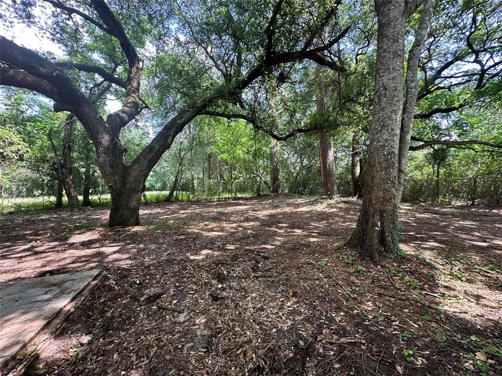 2392 Fm 256, Woodville, Texas image 29