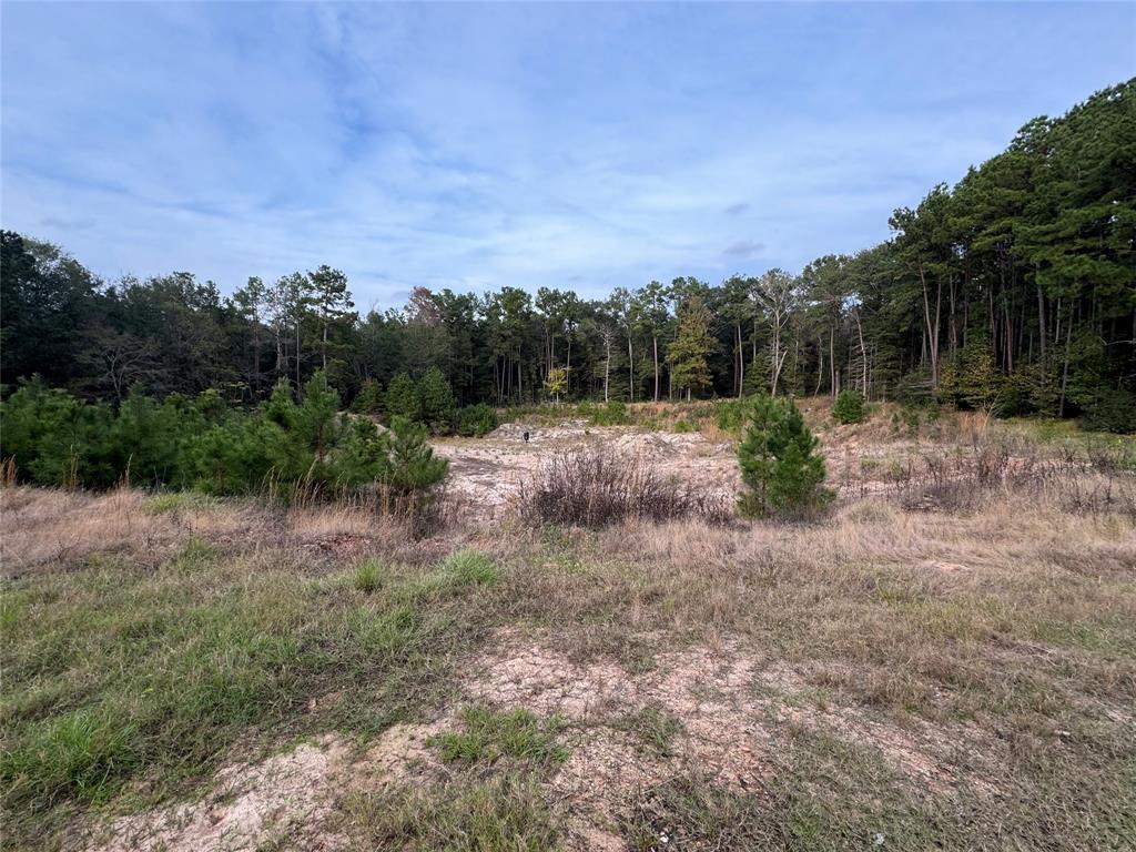 TBD Harden Road, Livingston, Texas image 8