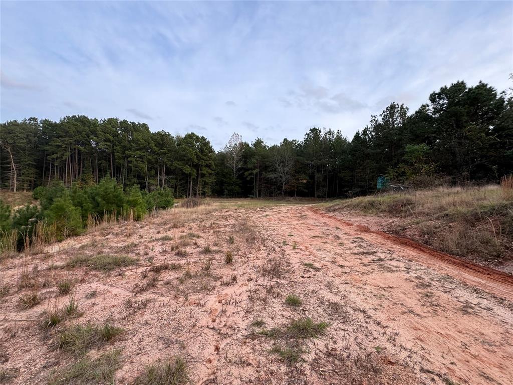 TBD Harden Road, Livingston, Texas image 9