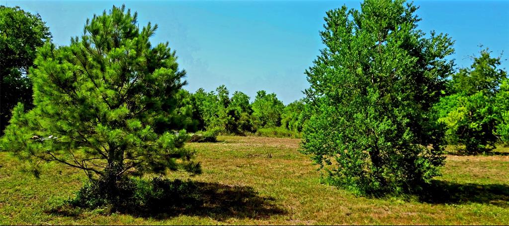 Fm 1960 Road, Huffman, Texas image 14