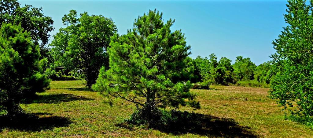 Fm 1960 Road, Huffman, Texas image 3