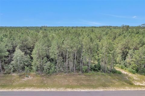 Photo of 11976 Highbranch Way, Willis, TX 77378 (MLS # 42844515) Photo of 11976 Highbranch Way, Willis, TX 77378 (MLS # 42844515)