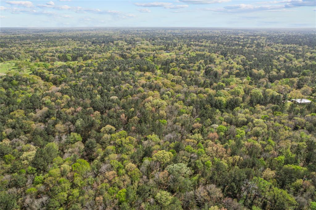 0000 Green Leaf, New Caney, Texas image 9