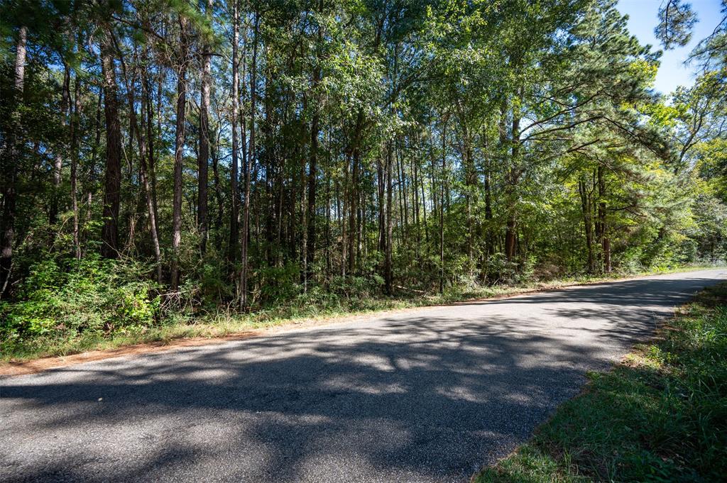 T.B.D County Rd 3000, Woodville, Texas image 5