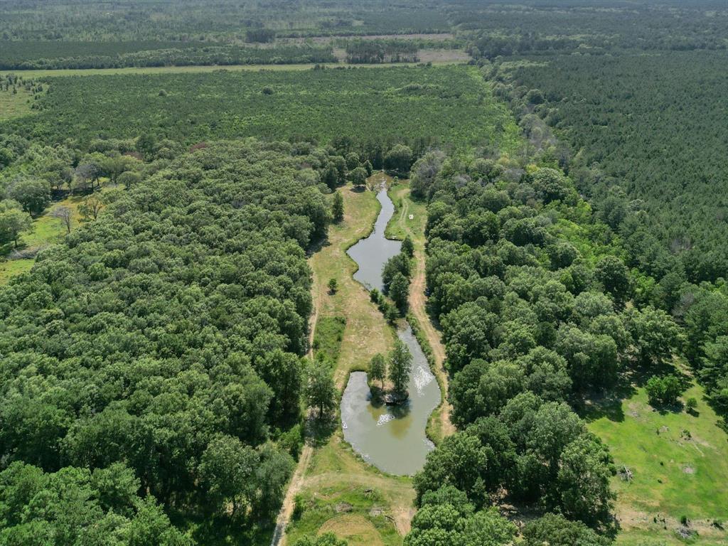 791 County Road 6881, Dayton, Texas image 7