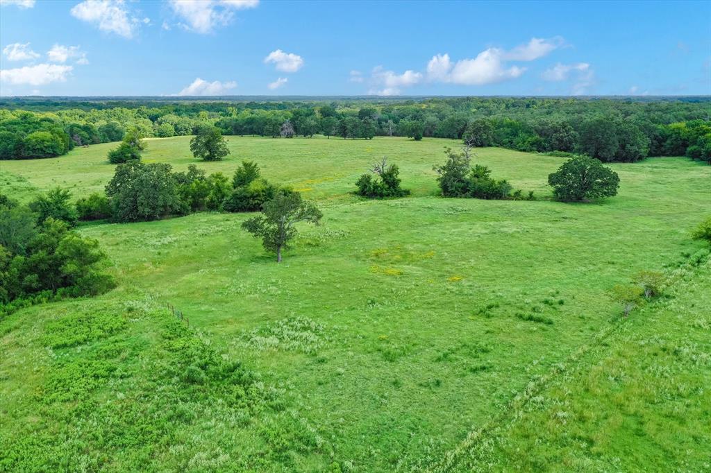 100+/- Acres Fm 773, Grand Saline, Texas image 15