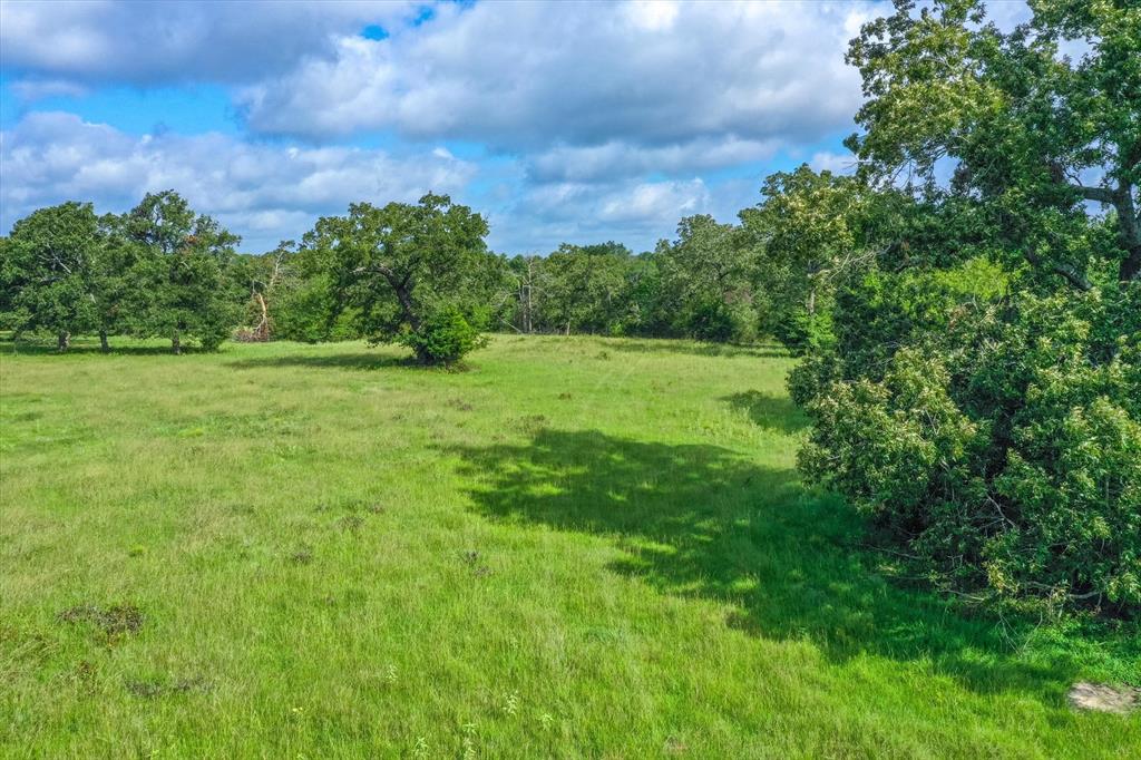 100+/- Acres Fm 773, Grand Saline, Texas image 28