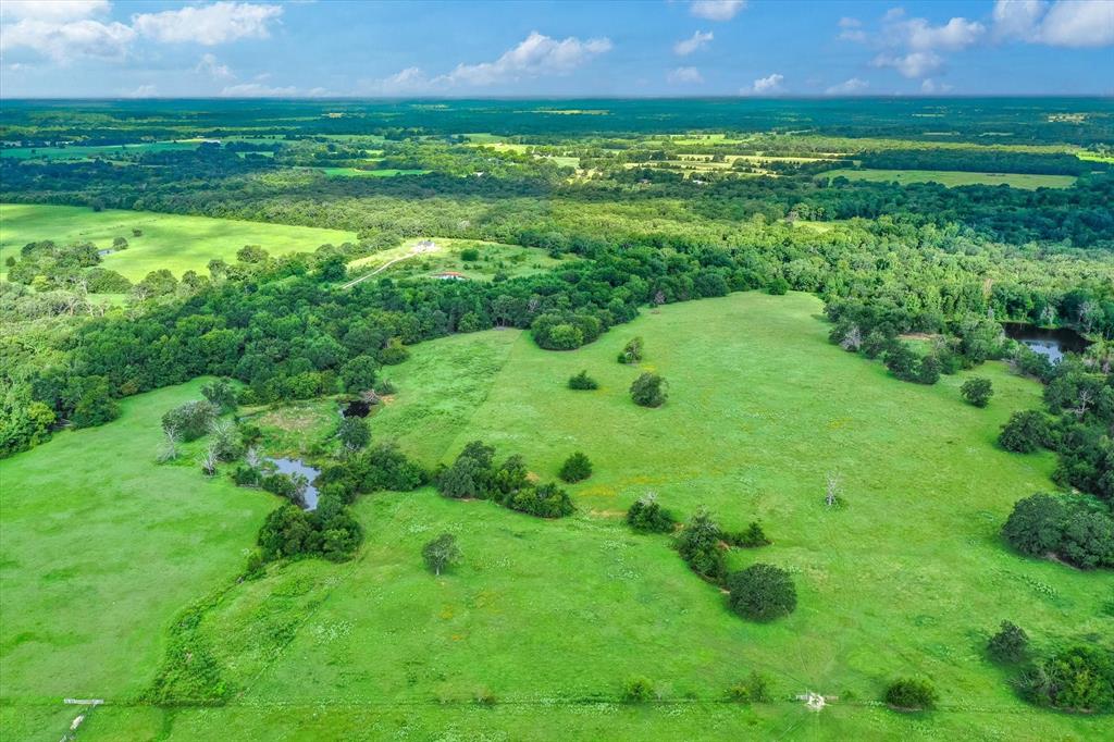 100+/- Acres Fm 773, Grand Saline, Texas image 12