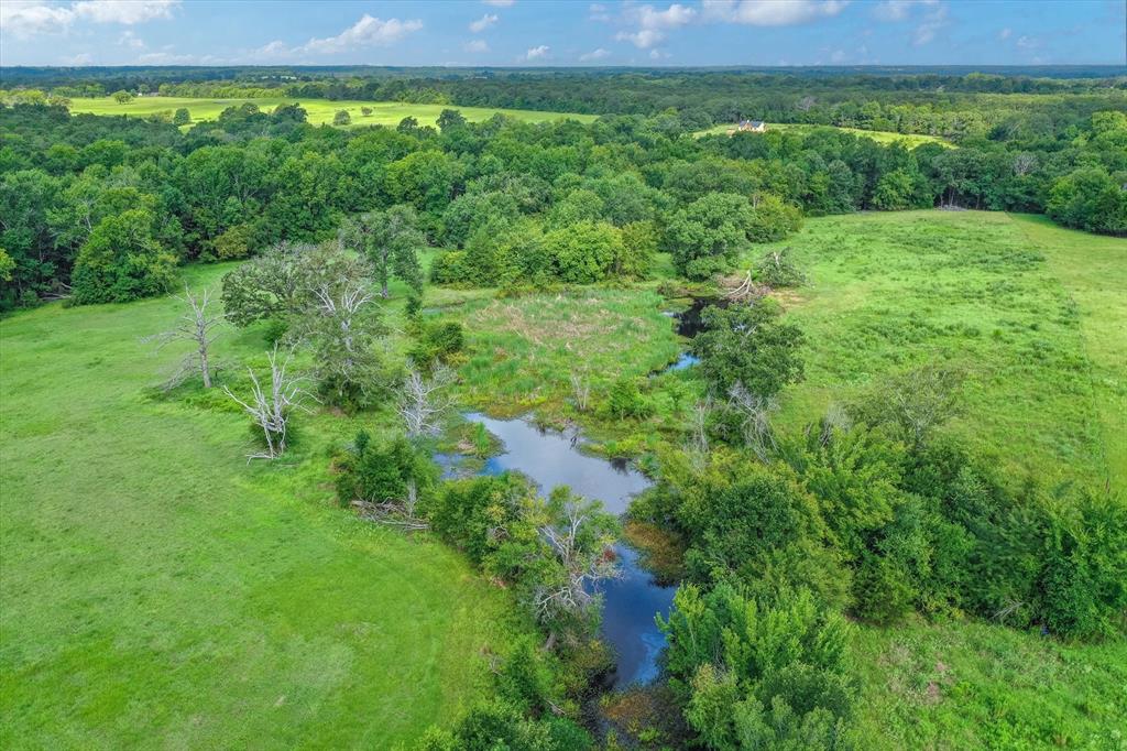 100+/- Acres Fm 773, Grand Saline, Texas image 13