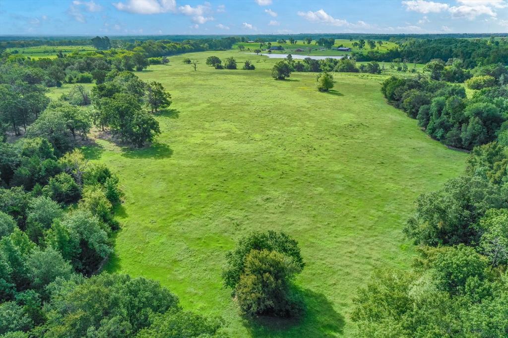 100+/- Acres Fm 773, Grand Saline, Texas image 27