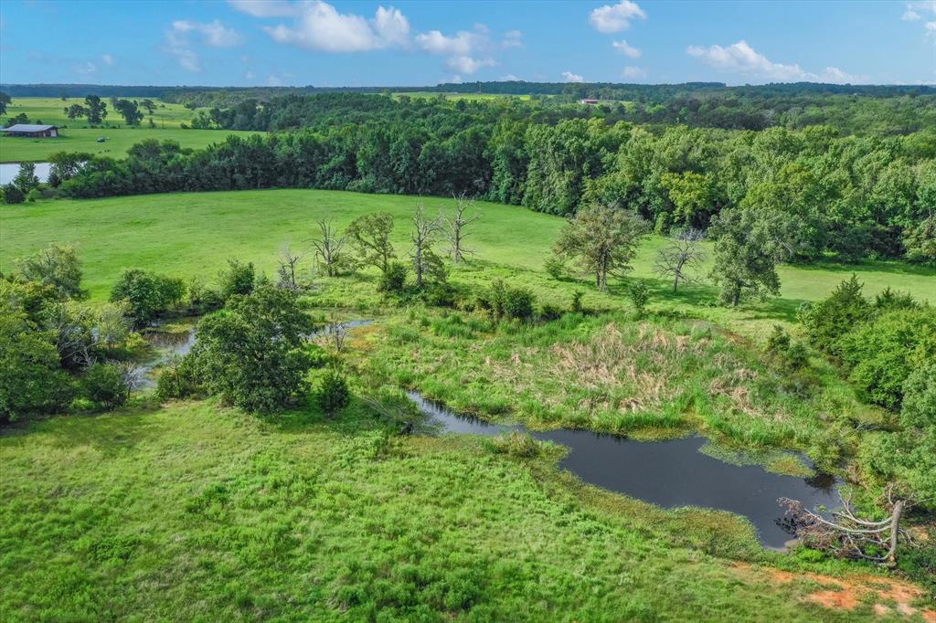 100+/- Acres Fm 773, Grand Saline, Texas image 19