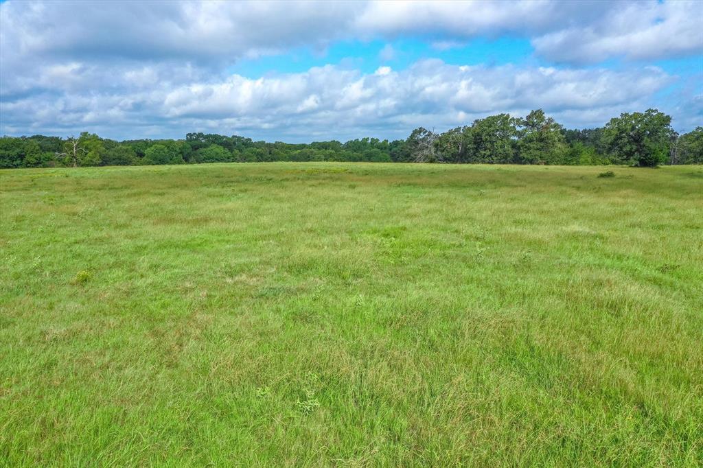 100+/- Acres Fm 773, Grand Saline, Texas image 29