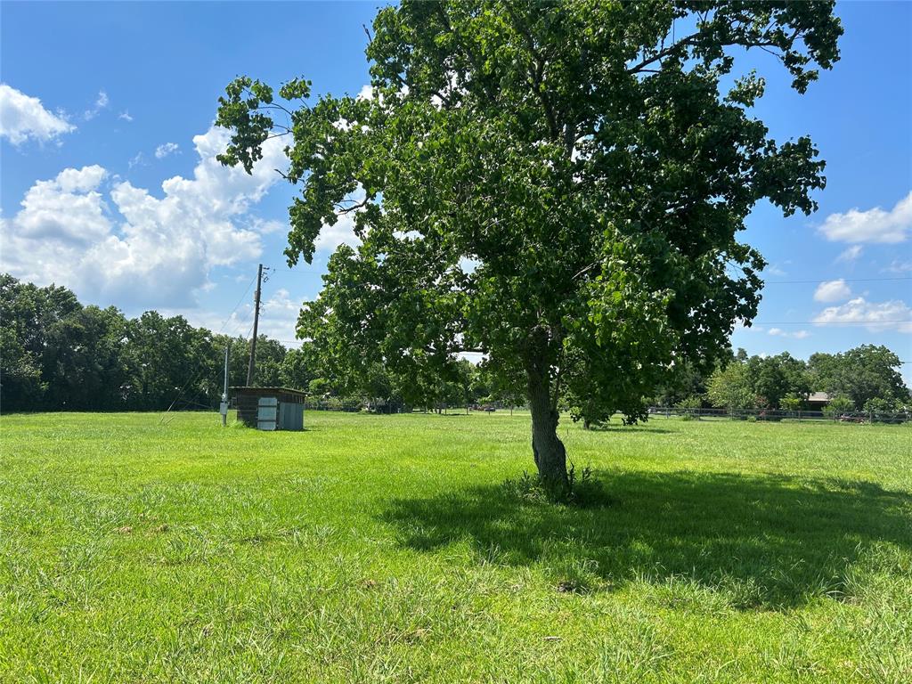 19230 County Road 927b, Alvin, Texas image 6