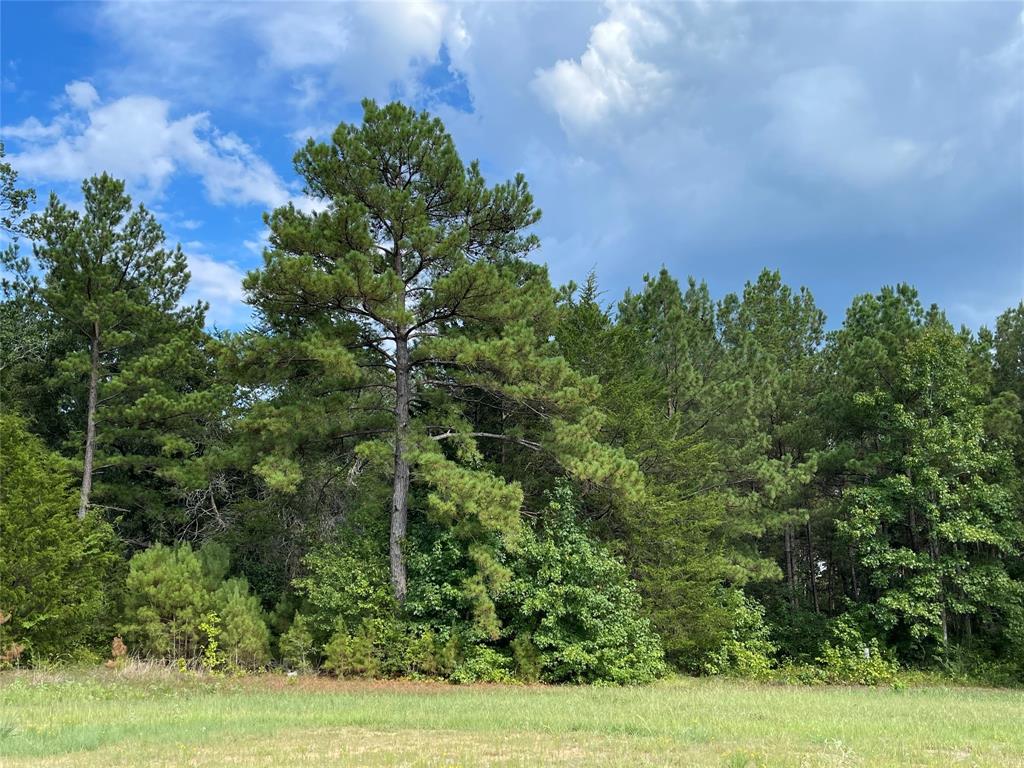 11968 Highbranch Way, Willis, Texas image 14