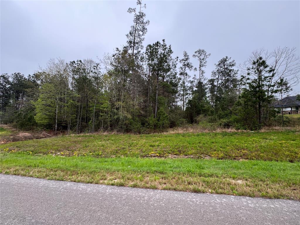 11968 Highbranch Way, Willis, Texas image 7