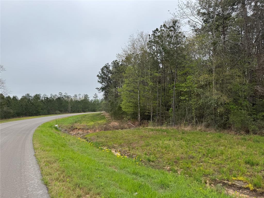 11968 Highbranch Way, Willis, Texas image 6