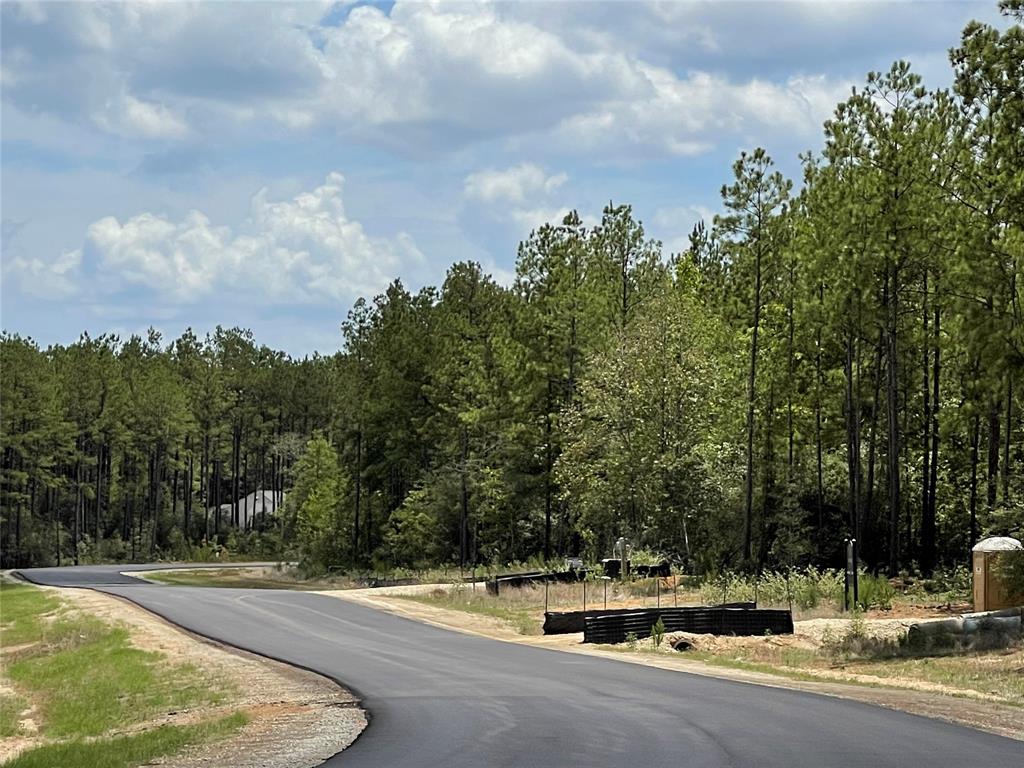 11968 Highbranch Way, Willis, Texas image 15