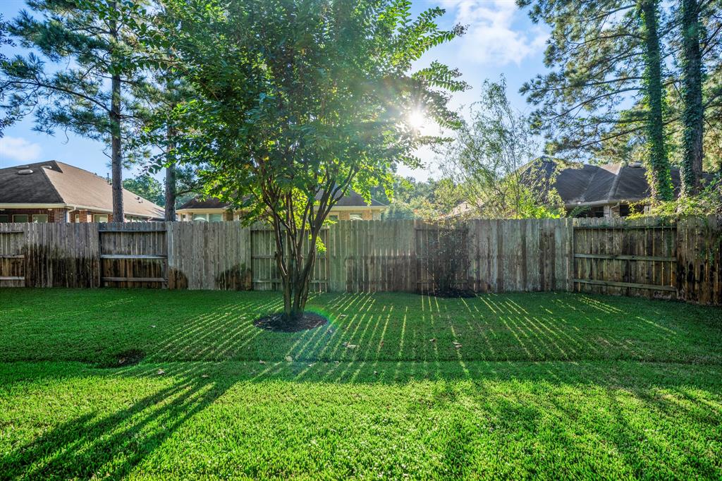 147 N Claret Cup Lane, Montgomery, Texas image 46