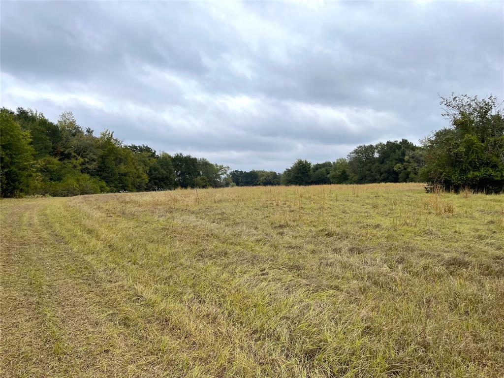 TBD Fm 1365 Road, Teague, Texas image 2