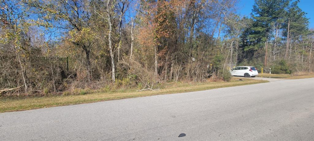 Old Fm 105, Conroe, Texas image 6