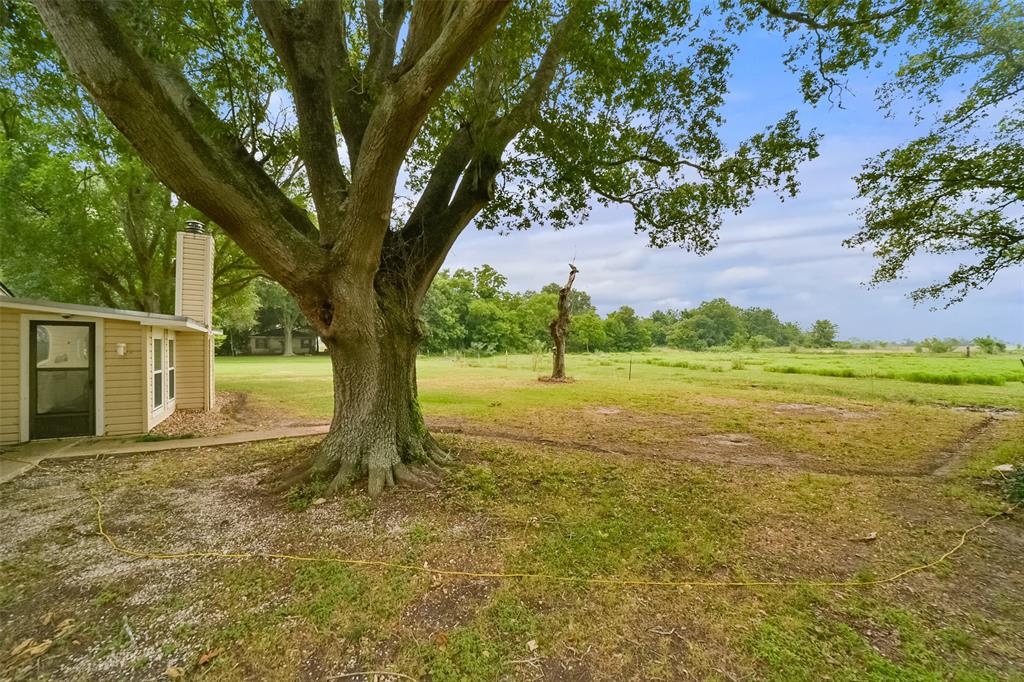 13710 Mueck Road, Needville, Texas image 35