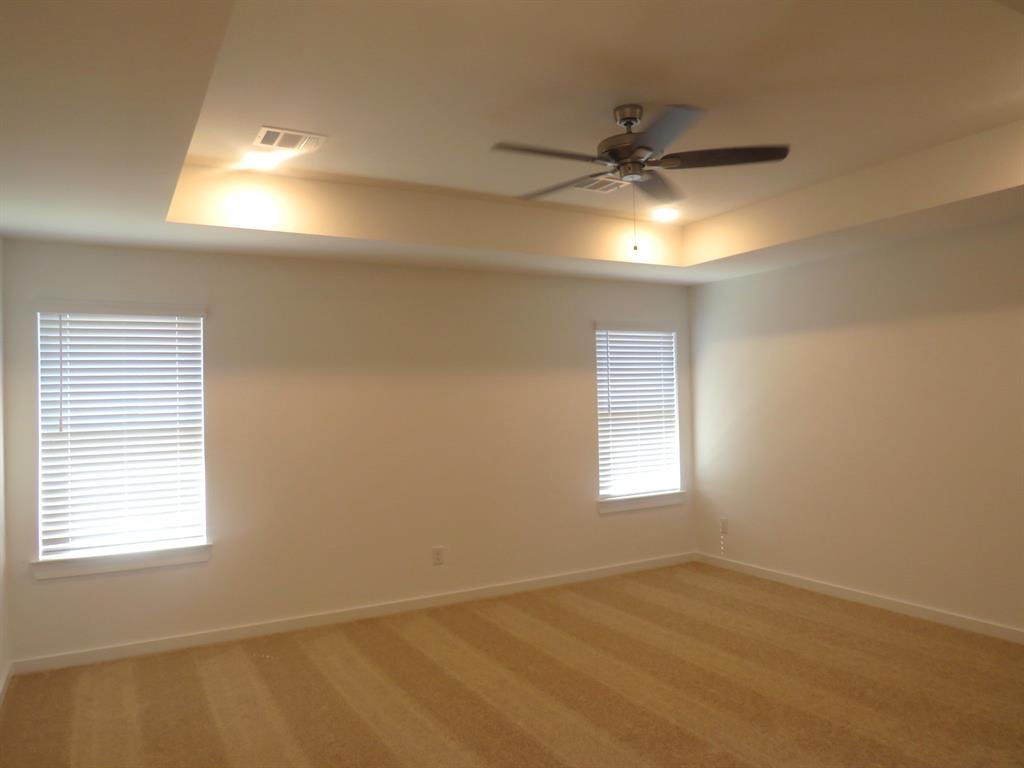 21314 Catelonia Yew Court, Tomball, Texas image 9