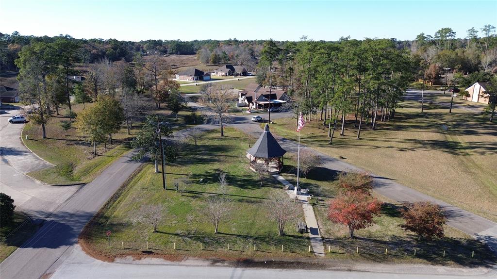 TBD Paw Paw Second Lot, Onalaska, Texas image 15